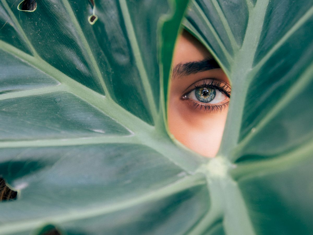 A person's eye is visible through a gap in large green leaves, creating a mysterious and artistic composition with vibrant colors.